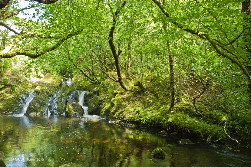 Waterfall in Forest Park near Glengarriff, Co. Cork.jpg